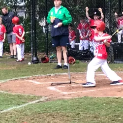 Bicentennial Reserve - Castle Hill