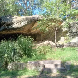 Bicentennial Reserve - Castle Hill