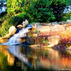 Castle Hill Country Club - Castle Hill