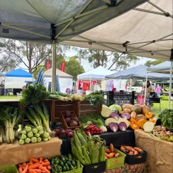 Castle Hill Farmers Market - Castle Hill