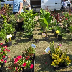 Castle Hill Farmers Market - Castle Hill