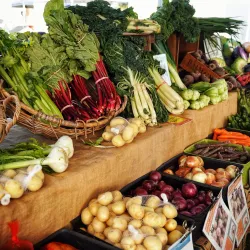 Castle Hill Farmers Market - Castle Hill