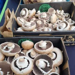 Castle Hill Farmers Market - Castle Hill