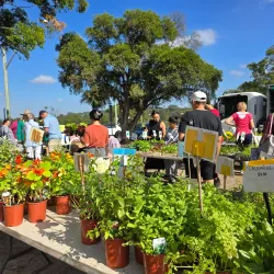 Castle Hill Farmers Market - Castle Hill