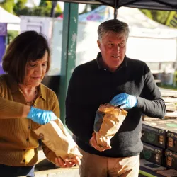 Castle Hill Farmers Market - Castle Hill