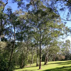 Castle Hill Heritage Park - Castle Hill