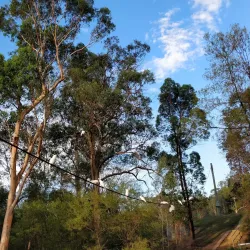 Fred Caterson Reserve - Castle Hill