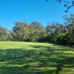 Fred Caterson Reserve - Castle Hill