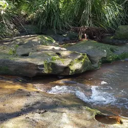 Fred Caterson Reserve - Castle Hill