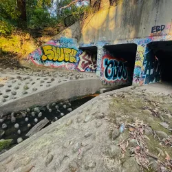 Fred Caterson Reserve - Castle Hill