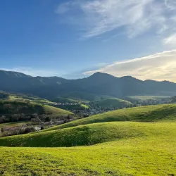 Clayton Community Park - Clayton