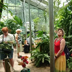 Coffs Harbour Butterfly House - Coffs Harbour