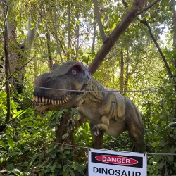Coffs Harbour Butterfly House - Coffs Harbour