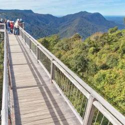 Dorrigo National Park - Coffs Harbour