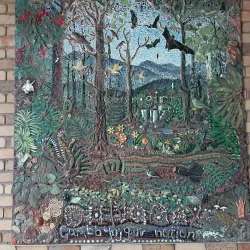 Dorrigo National Park - Coffs Harbour