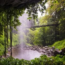 Dorrigo National Park - Coffs Harbour