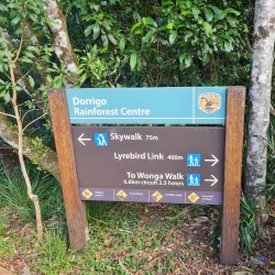 Dorrigo National Park - Coffs Harbour