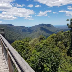 Dorrigo National Park - Coffs Harbour