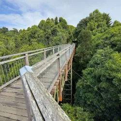 Dorrigo National Park - Coffs Harbour