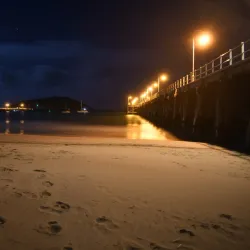 Jetty Beach - Coffs Harbour