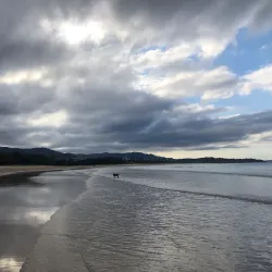 Jetty Beach - Coffs Harbour