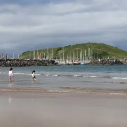 Jetty Beach - Coffs Harbour
