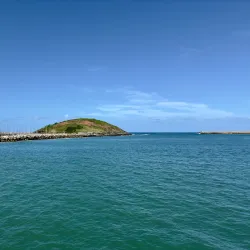 Jetty Beach - Coffs Harbour