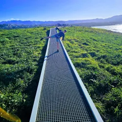 Muttonbird Island Nature Reserve - Coffs Harbour
