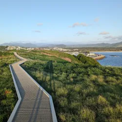 Muttonbird Island Nature Reserve - Coffs Harbour