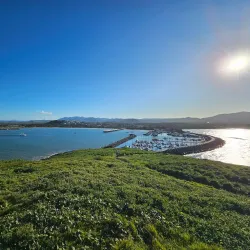 Muttonbird Island Nature Reserve - Coffs Harbour