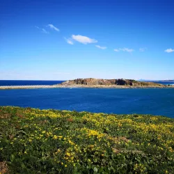 Muttonbird Island Nature Reserve - Coffs Harbour
