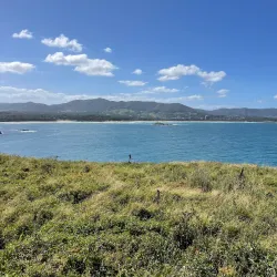 Muttonbird Island Nature Reserve - Coffs Harbour