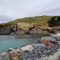 Muttonbird Island Nature Reserve - Coffs Harbour