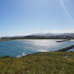 Muttonbird Island Nature Reserve - Coffs Harbour