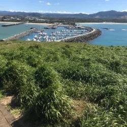 Muttonbird Island Nature Reserve - Coffs Harbour