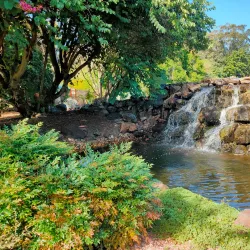 North Coast Regional Botanic Garden - Coffs Harbour
