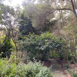 North Coast Regional Botanic Garden - Coffs Harbour