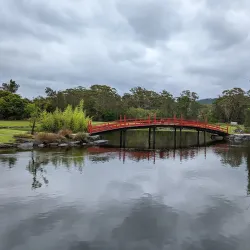 North Coast Regional Botanic Garden - Coffs Harbour