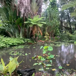 North Coast Regional Botanic Garden - Coffs Harbour