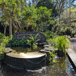 North Coast Regional Botanic Garden - Coffs Harbour