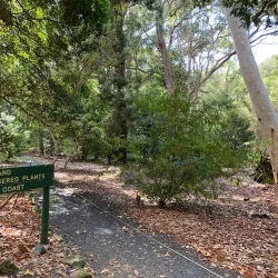 North Coast Regional Botanic Garden - Coffs Harbour