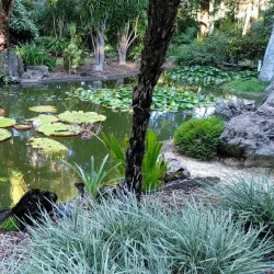 North Coast Regional Botanic Garden - Coffs Harbour