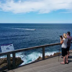 Solitary Islands Marine Park - Coffs Harbour