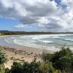 Solitary Islands Marine Park - Coffs Harbour