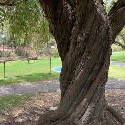 Collie River Walk - Collie