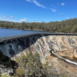 Wellington National Park - Collie