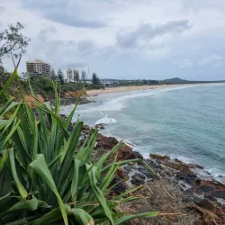 Coolum Surf Club - Coolum Beach