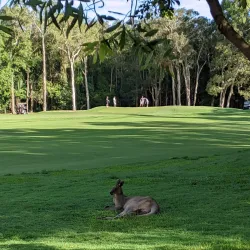 Mount Coolum Golf Club - Coolum Beach