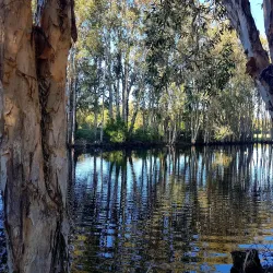 Mount Coolum Golf Club - Coolum Beach