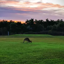 Mount Coolum Golf Club - Coolum Beach
